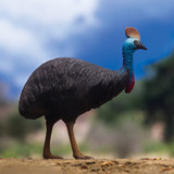 PNSO Faithe the Southern Cassowary PNSO Faithe the Southern Cassowary