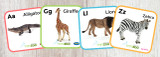 A-Z MiniZoo Flash Cards | MiniZoo Blog