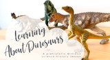 Learning About Dinosaurs | MiniZoo Blog