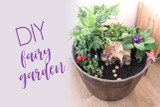 DIY Small World - Fairy Garden | MiniZoo Blog