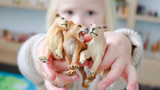 Toymany vs Schleich (and other animal figurine brands)