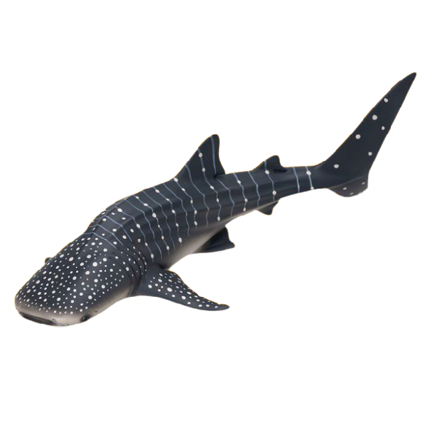 MOJO Whale Shark Modellfigur – Handbemalt, Lebensecht, Für Sammler & Diorama