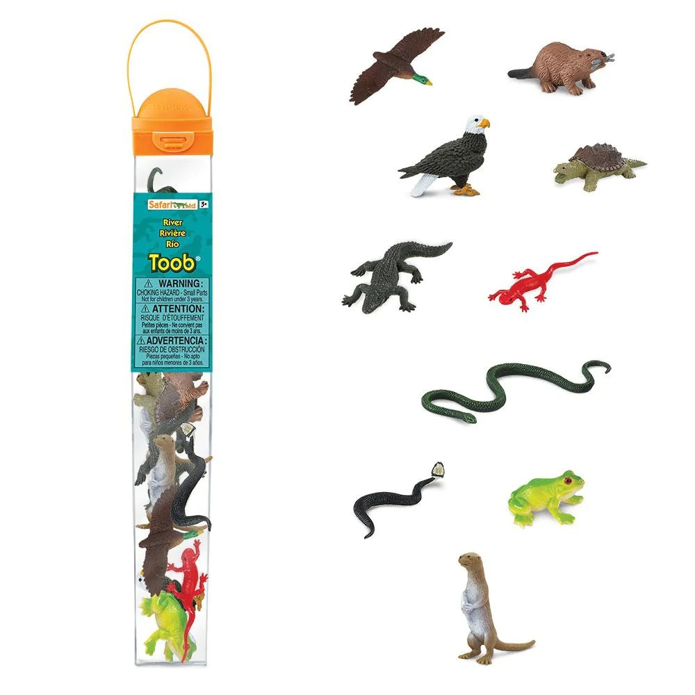 Safari Ltd. Toob – 12 Coole Muränen-Figuren, Handbemalt & Naturgetreu