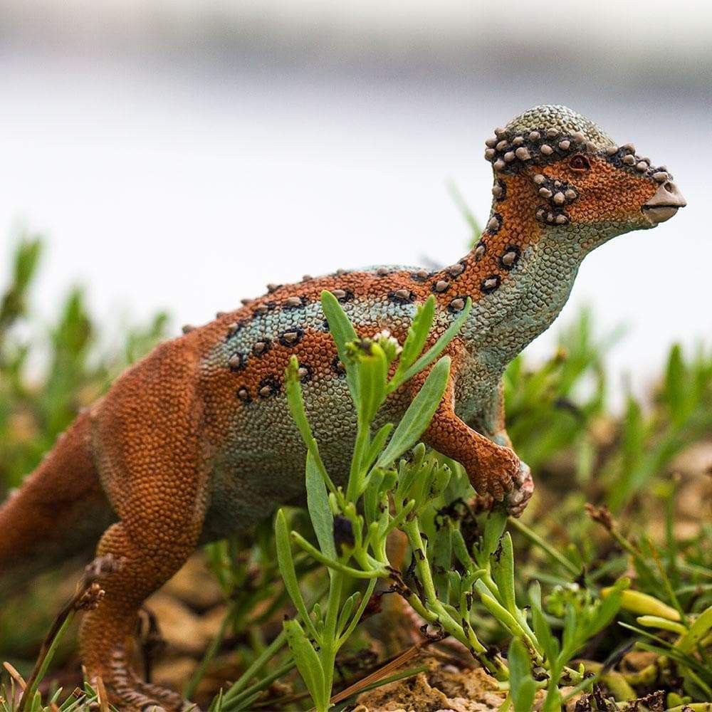 schleich pachycephalosaurus