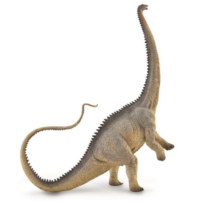 collecta diplodocus grey
