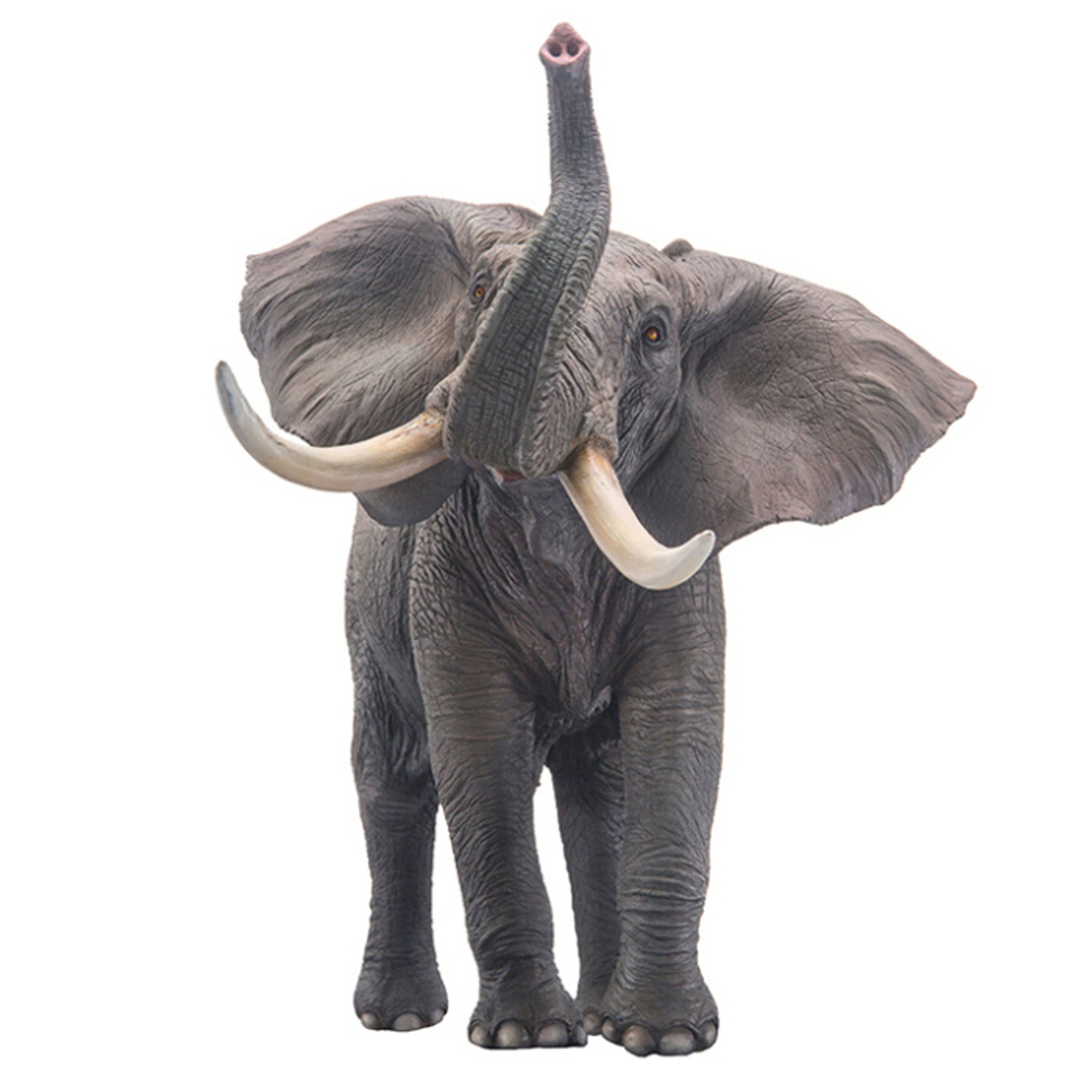 CollectA African Elephant 2022