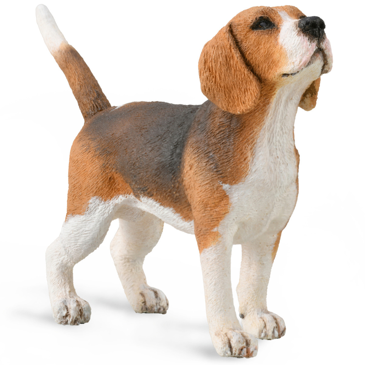LeiNoa beagle 大きいサイズ CollectA Beagle 88935 | MiniZoo Dog Figurine