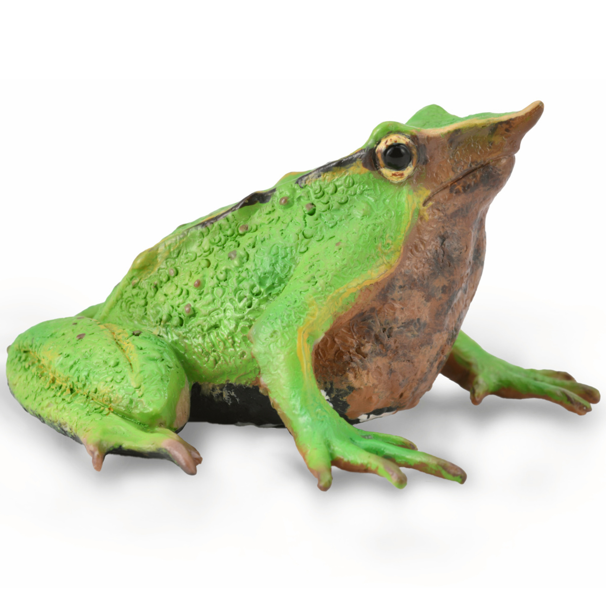 CollectA Darwin's Frog 88938 | MiniZoo Frog