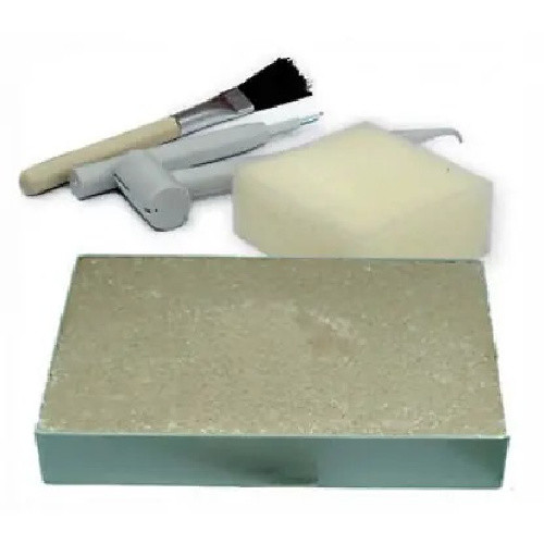 Discover Science Triceratops Excavation Kit | MiniZoo Dinosaur Skeleton