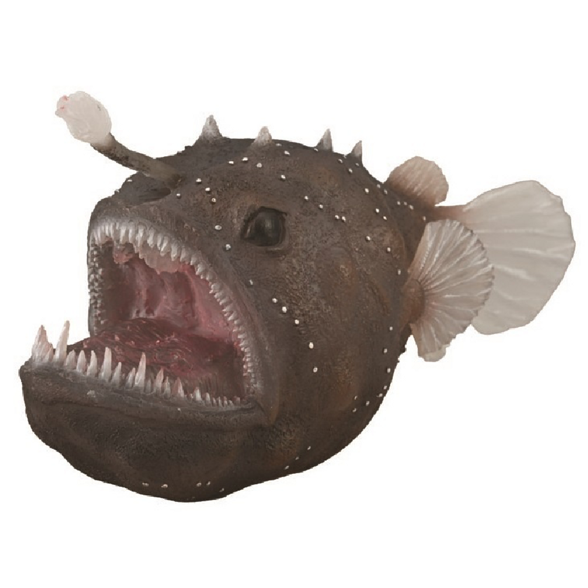 Angler-Fish-Cake-2 | Angler fish, Steampunk, Steampunk dragon