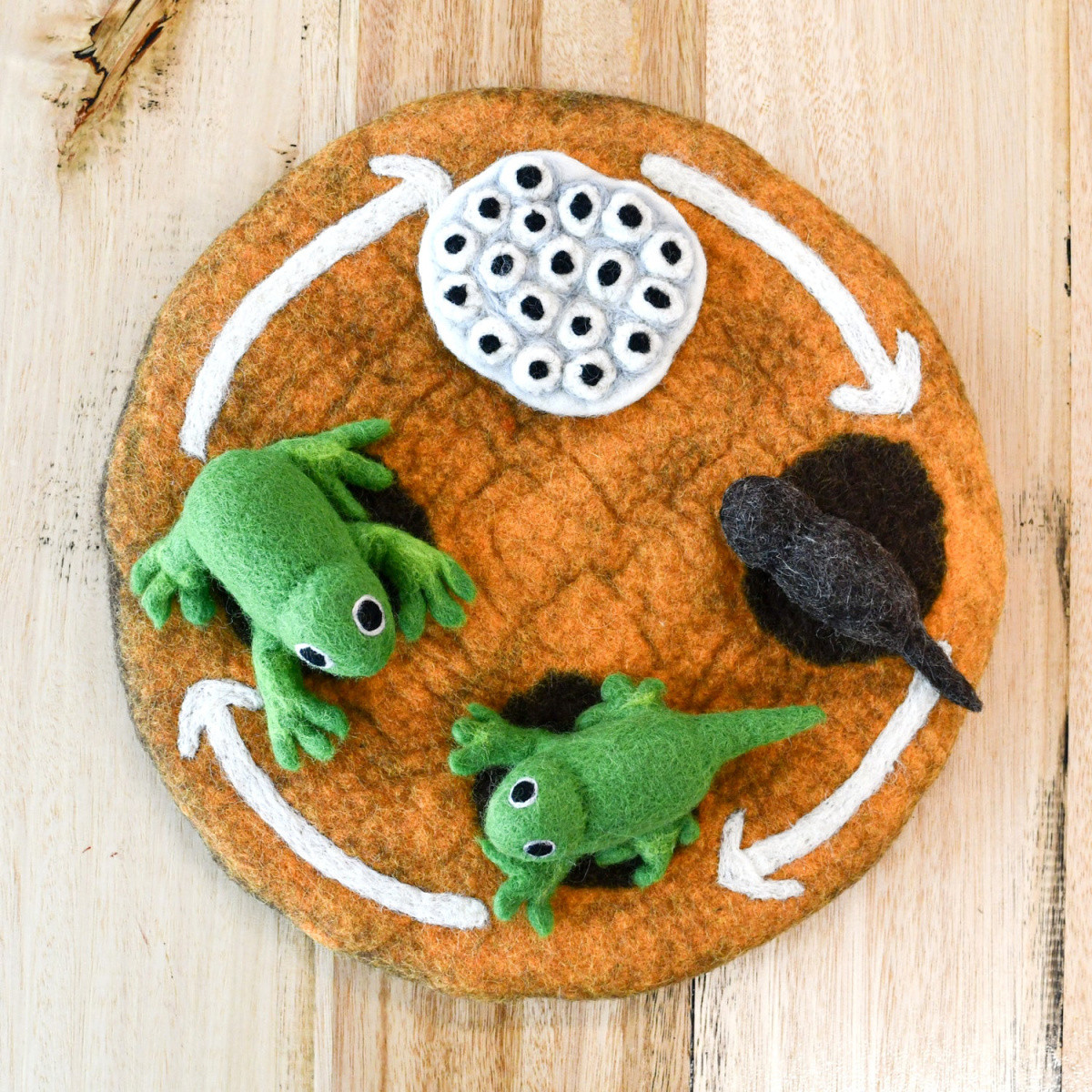 Tara Treasures Felt Lifecycle of a Frog | MiniZoo Felt Toys