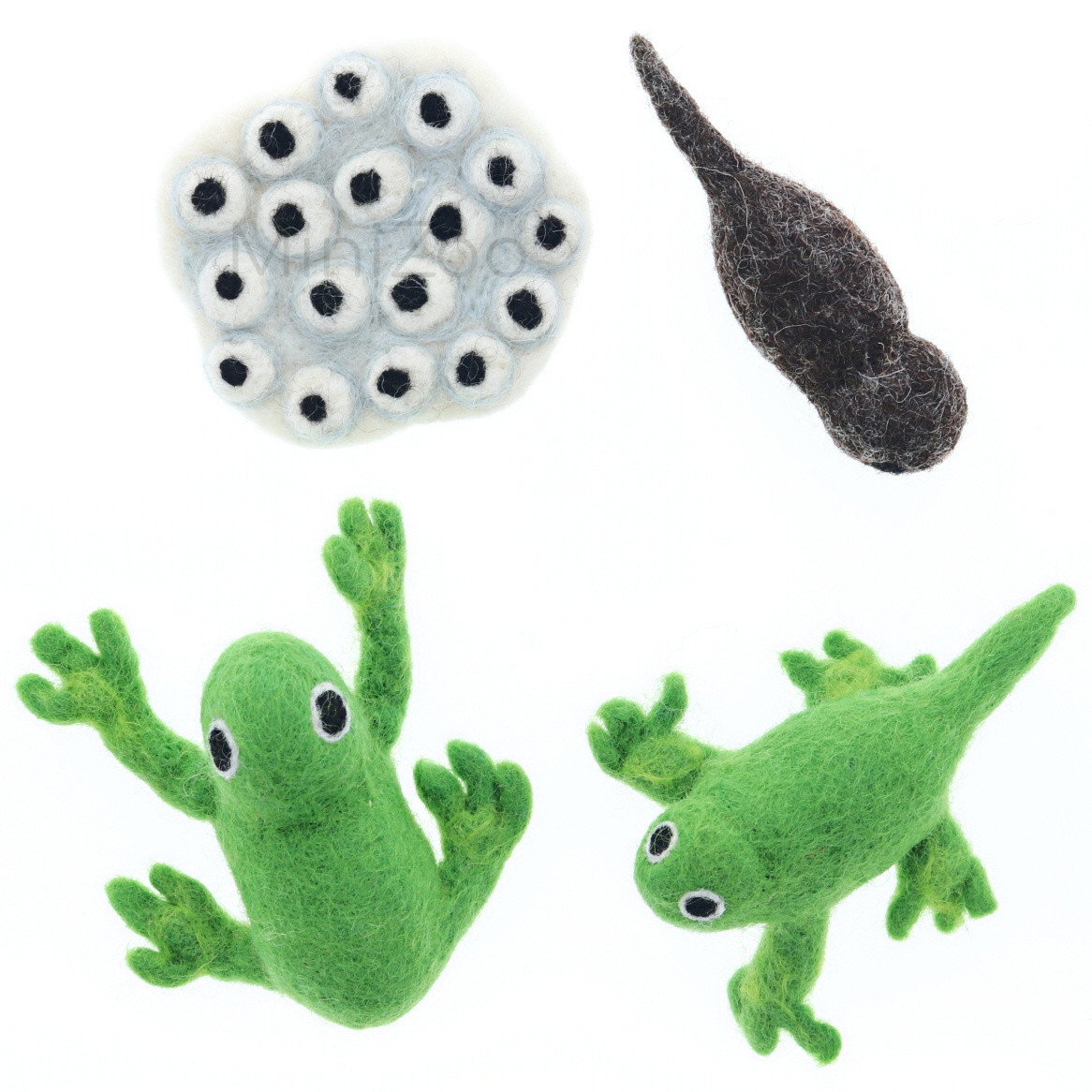 Tara Treasures Felt Lifecycle of a Frog | MiniZoo Felt Toys