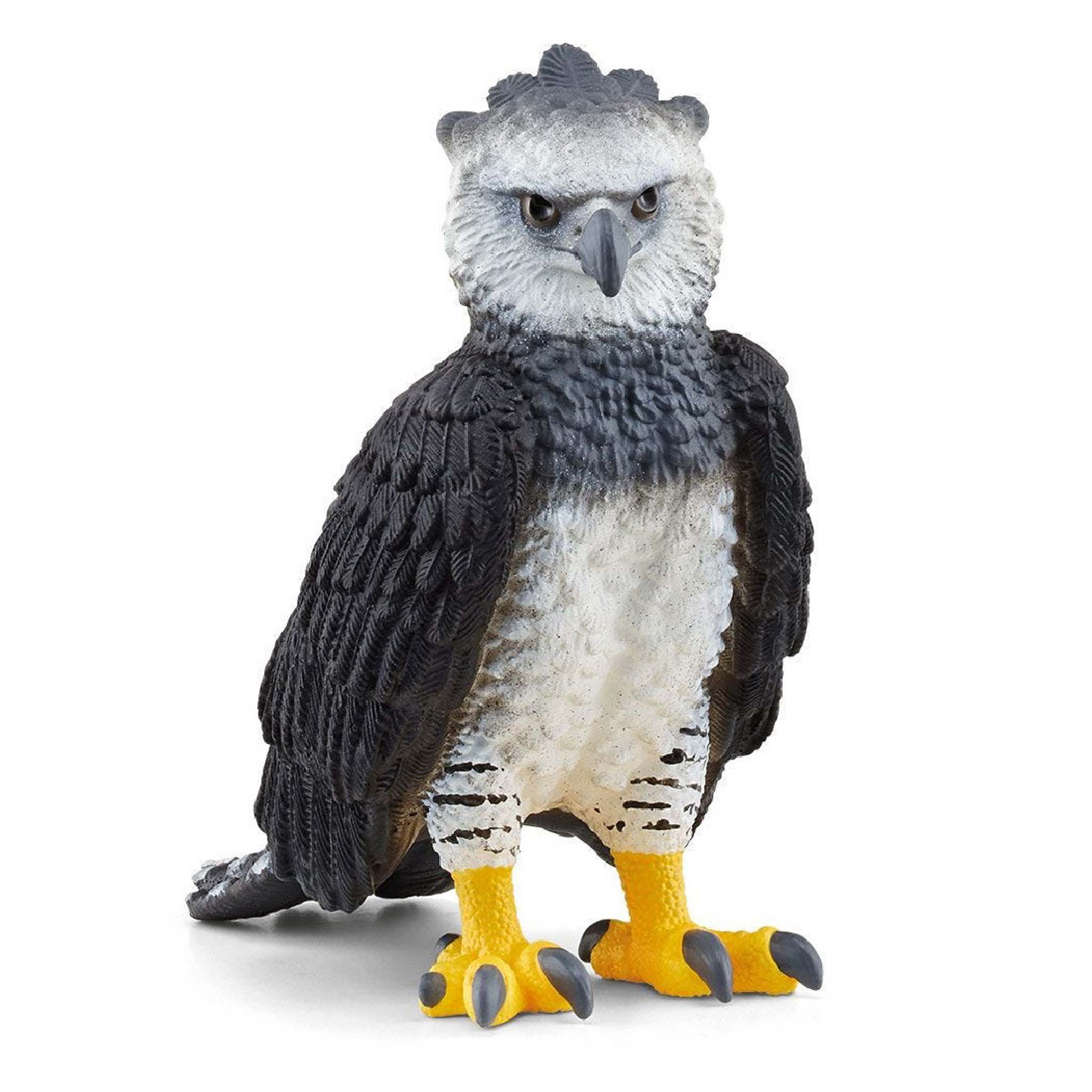 Philippine Eagle vs Harpy Eagle: See Who Wins
