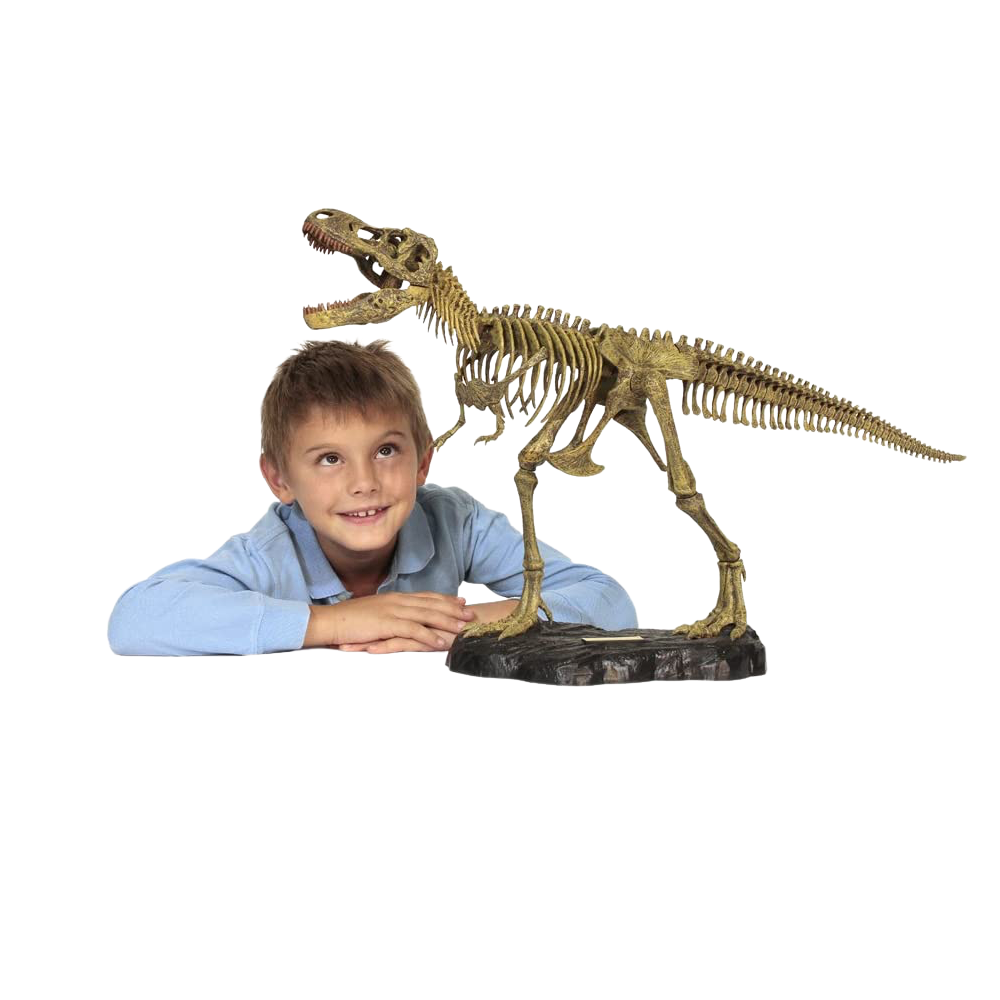 Dr Steve Hunters Kit Scavo Dinosauro Velociraptor 27 Pezzi - Giocattolo Scientifico Educativo STEM, Modello Scheletro 25 Cm, Con Strumenti