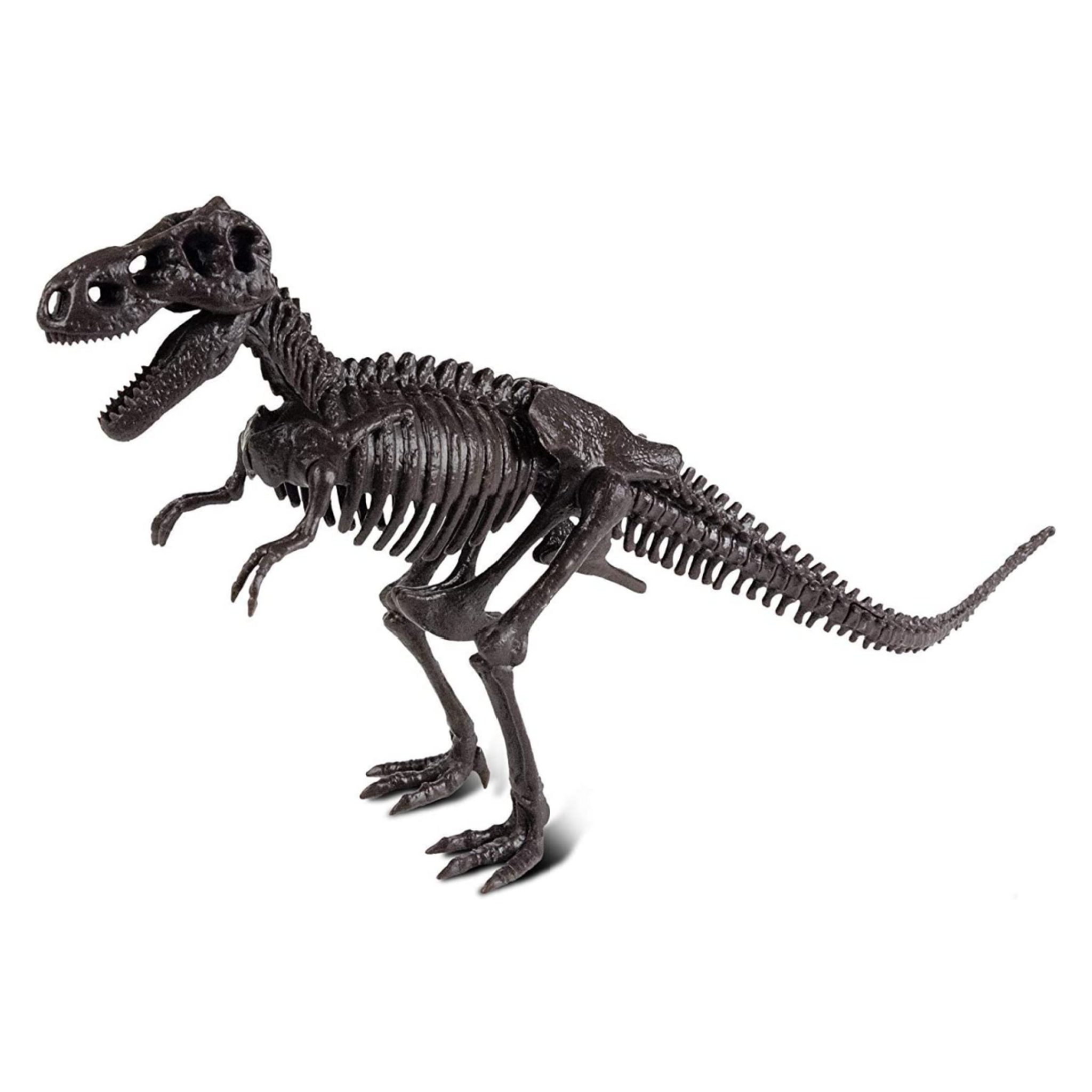 Dr. Steve Hunters Dino Excavation Kit Velociraptor Skeleton