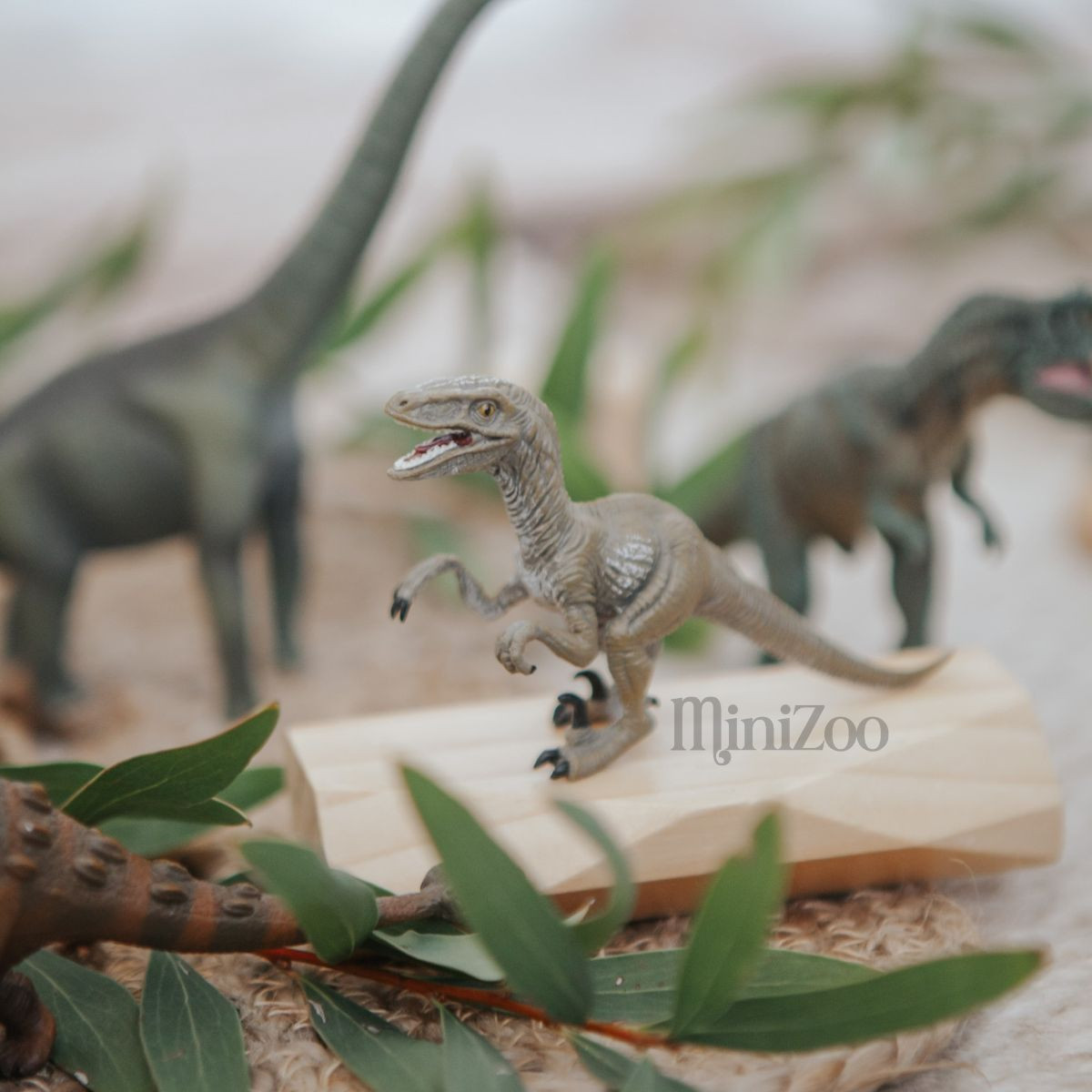 CollectA Replica Dente E Artiglio Di Velociraptor In Teca Acrilica – Fossil Set Da Collezione