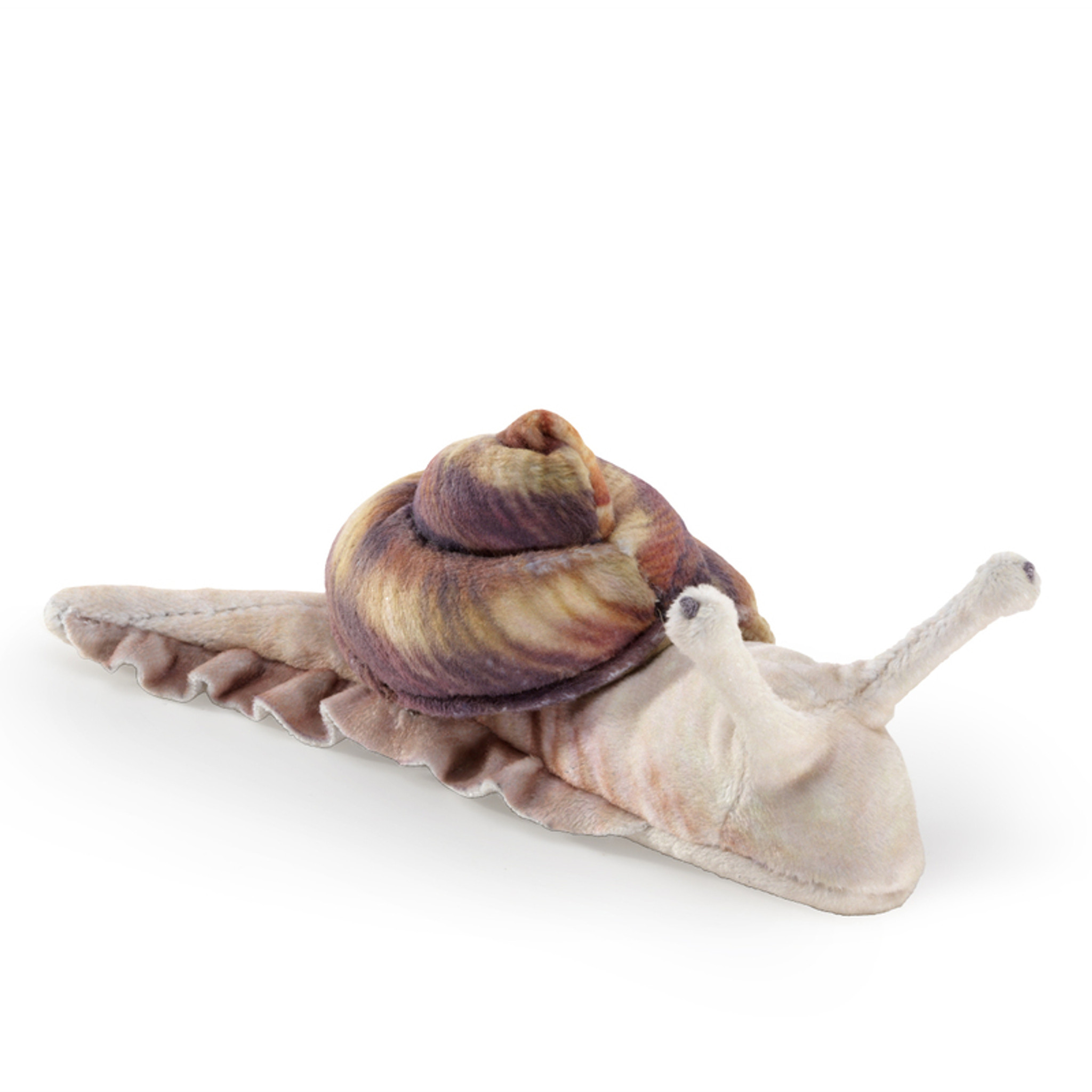 snail puppet