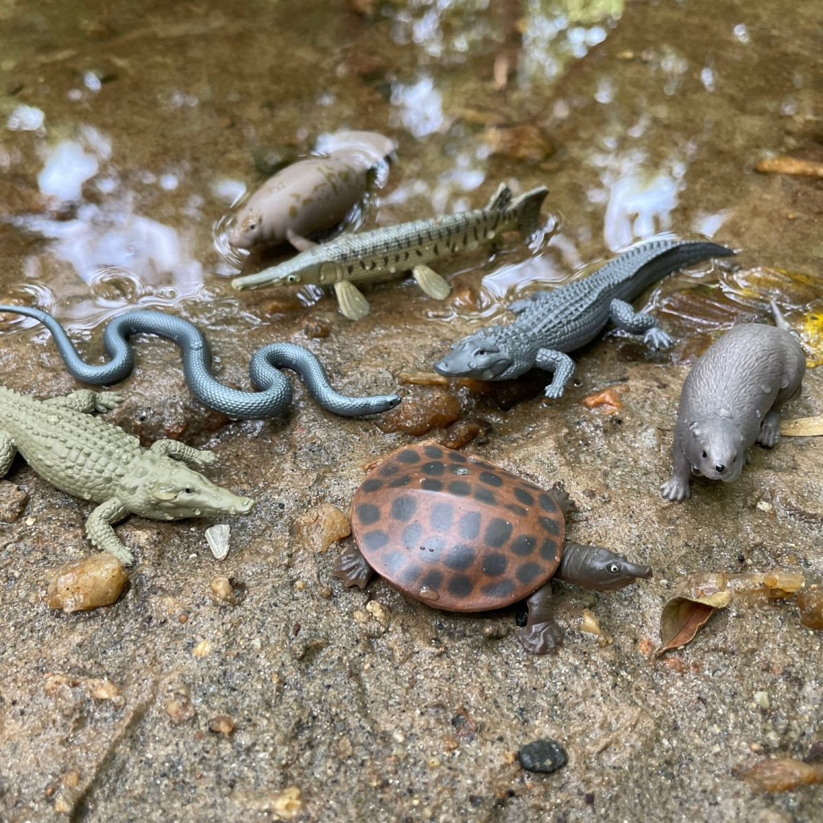 Safari Ltd Fluss Ökosystem TOOB – 10 Figuren Wie Adler, Biber & Alligator, Pädagogisch