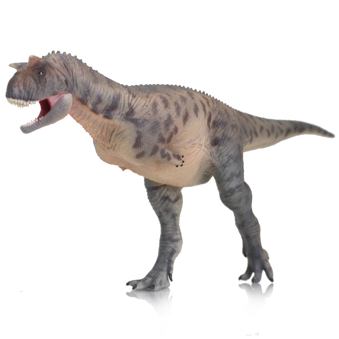 Haolonggood Carnotaurus Zhou Tong Accurate Carnotaurus Toy Australia