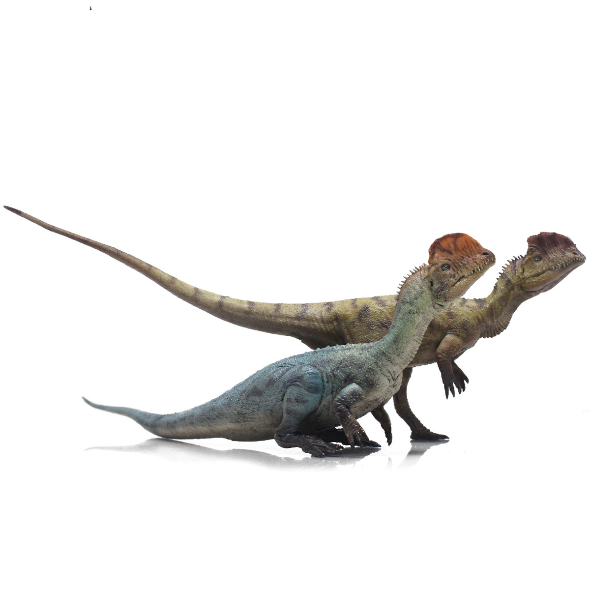 thumbnail interactive-video image 1 of HAOLONGGOOD Dilophosaurus 1:35 Scale Model – Scientific & Artistic Dinosaur Figure, Two Poses (Standing & Sitting), Educational Gift 1 of 13