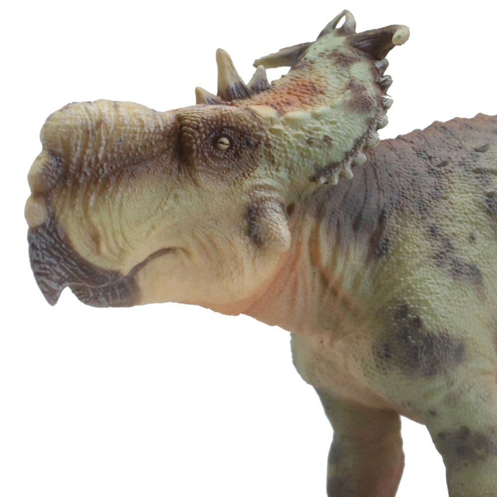 Haolonggood Pachyrhinosaurus Guo Sheng Accurate Pachyrhinosaurus