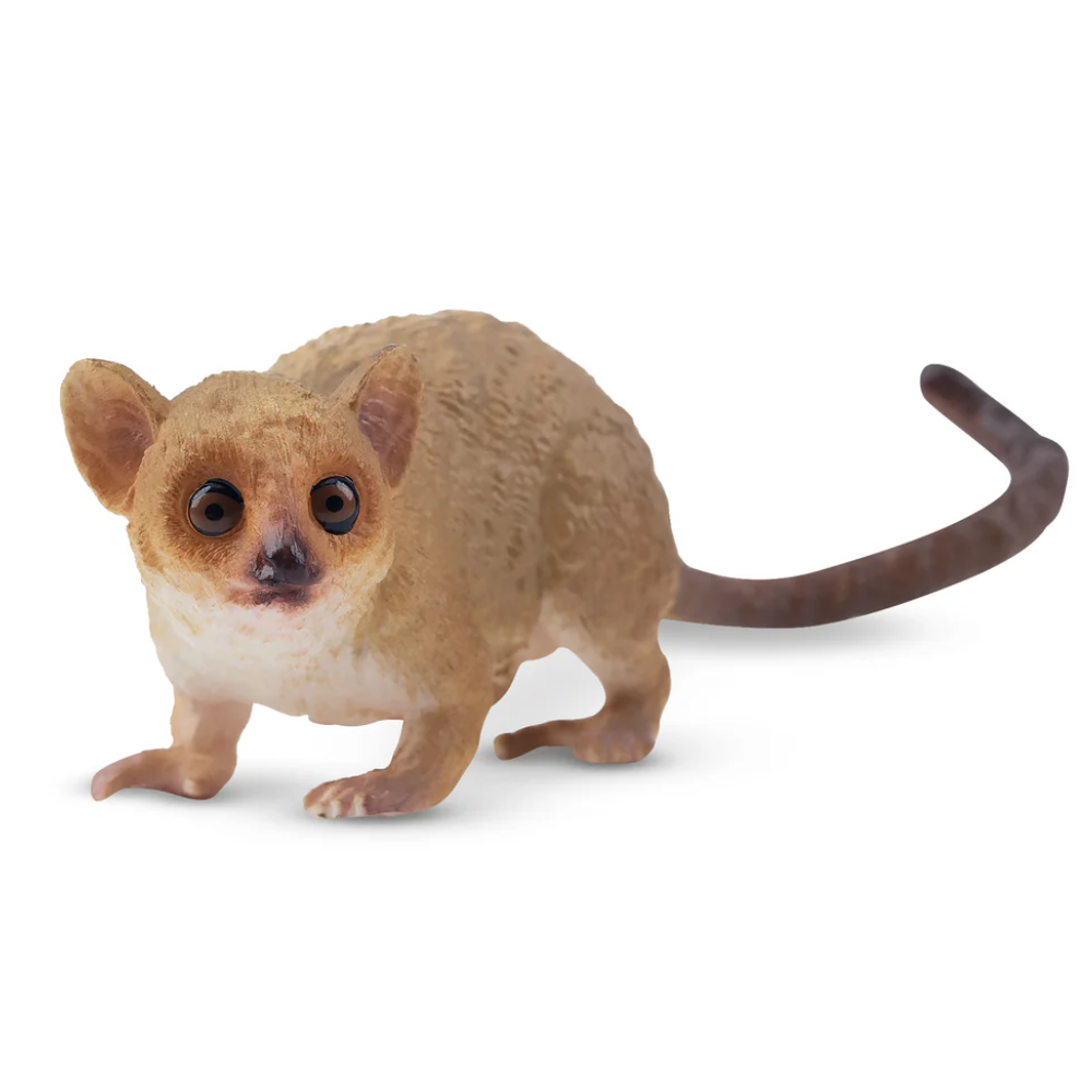 Toymany Madame Berthe's Mouse Lemur Madagascar Animal Toy Figurines