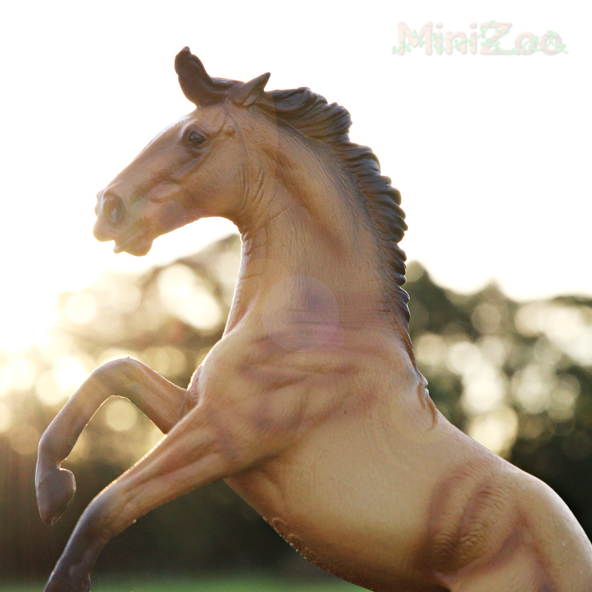 CollectA Lusitano Hengst Figur – Handbemalt, Realistisch, Aus Robustem Kunststoff, Für Kinder Ab 3 Jahren