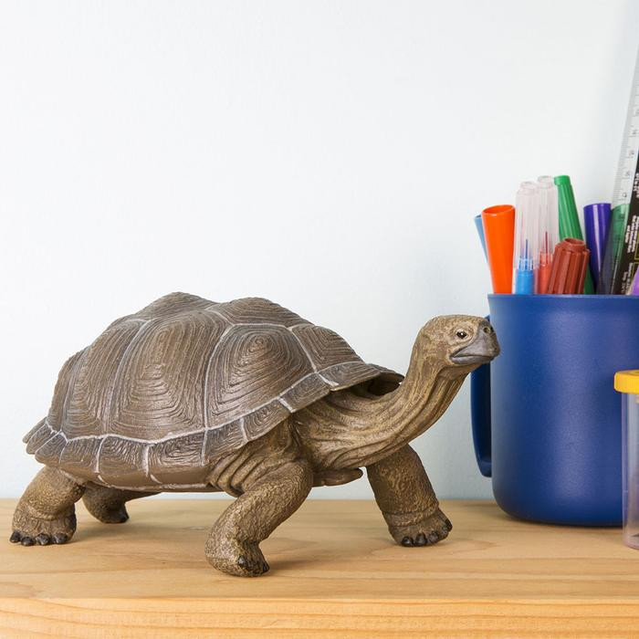 Giant Tortoise by Safari Ltd