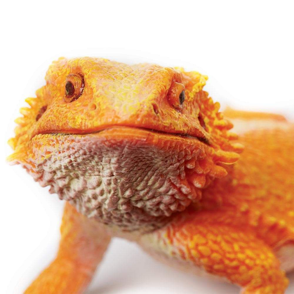 bearded dragon figurine
