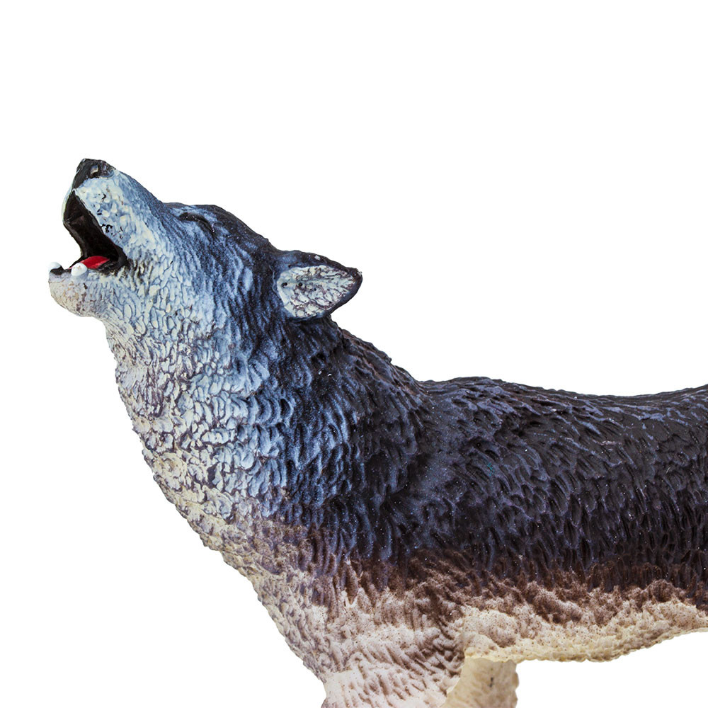 小物 Gray Wolf 7/1 Safari Ltd Wolf Grey 273829 | Wildlife
