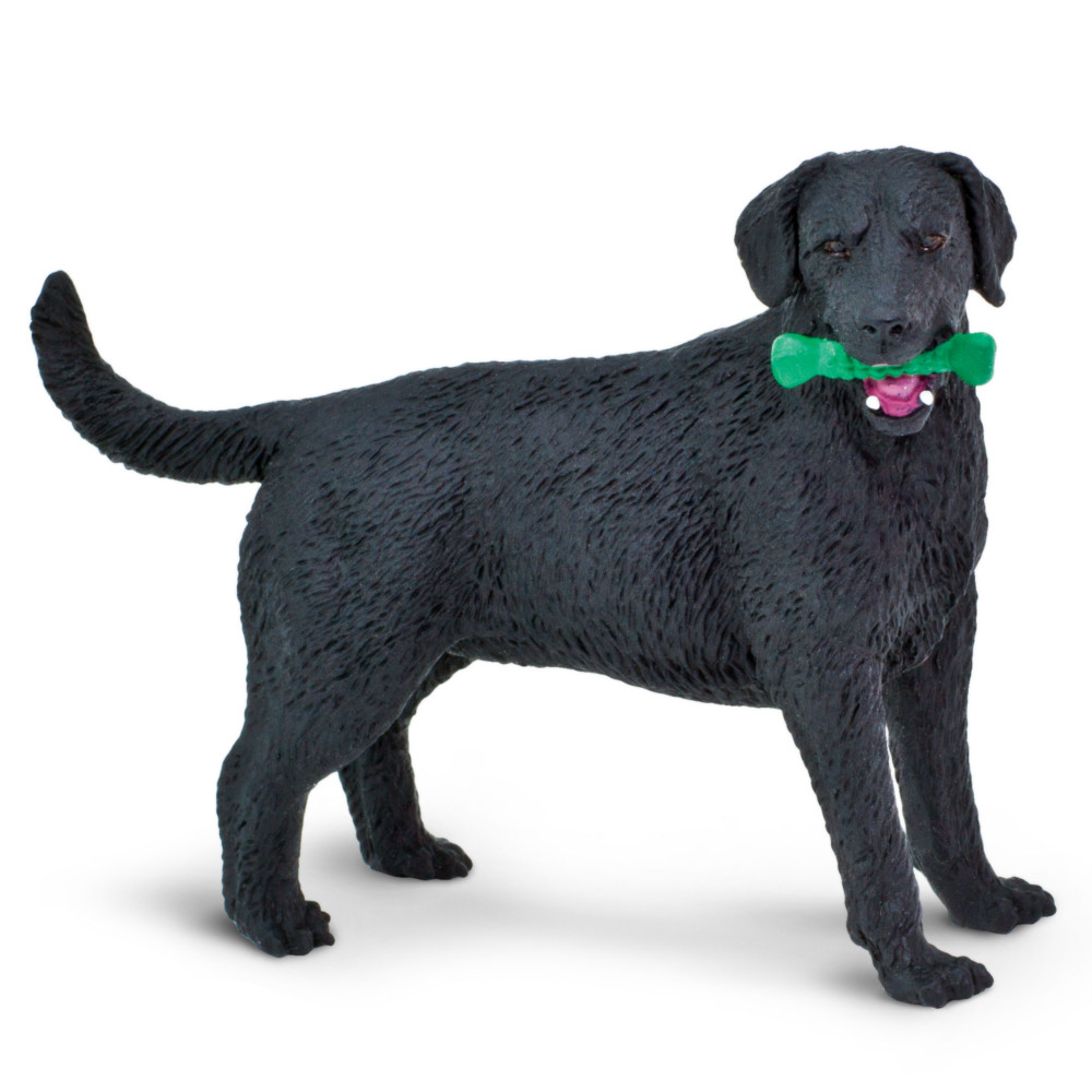 black labrador toy