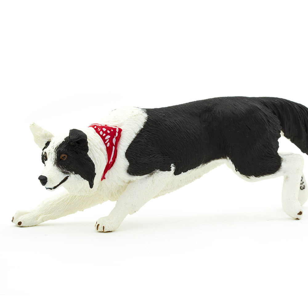 Safari Ltd Border Collie Dog Figurine | Detailed 5" Plastic Model | Educational Animal Toy