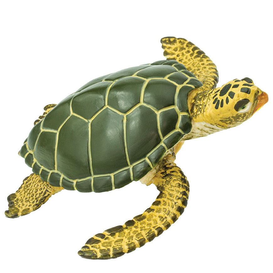 Safari Ltd Green Sea Turtle 274329 | Sealife