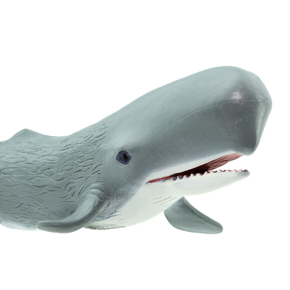 Safari Ltd Sperm Whale 275529 Sealife
