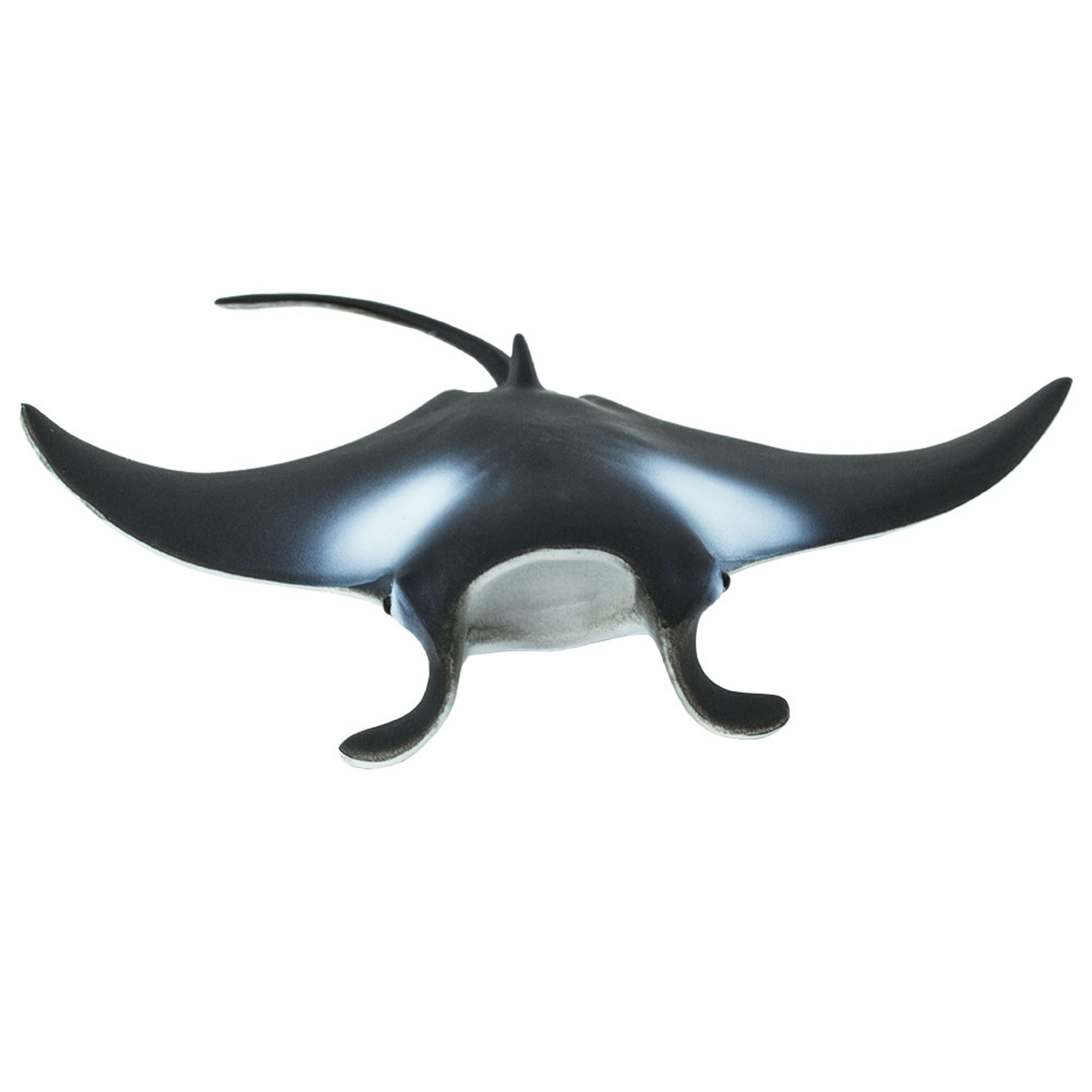 【中古】 Estratexa Manta Ray Manta Ray | Fab