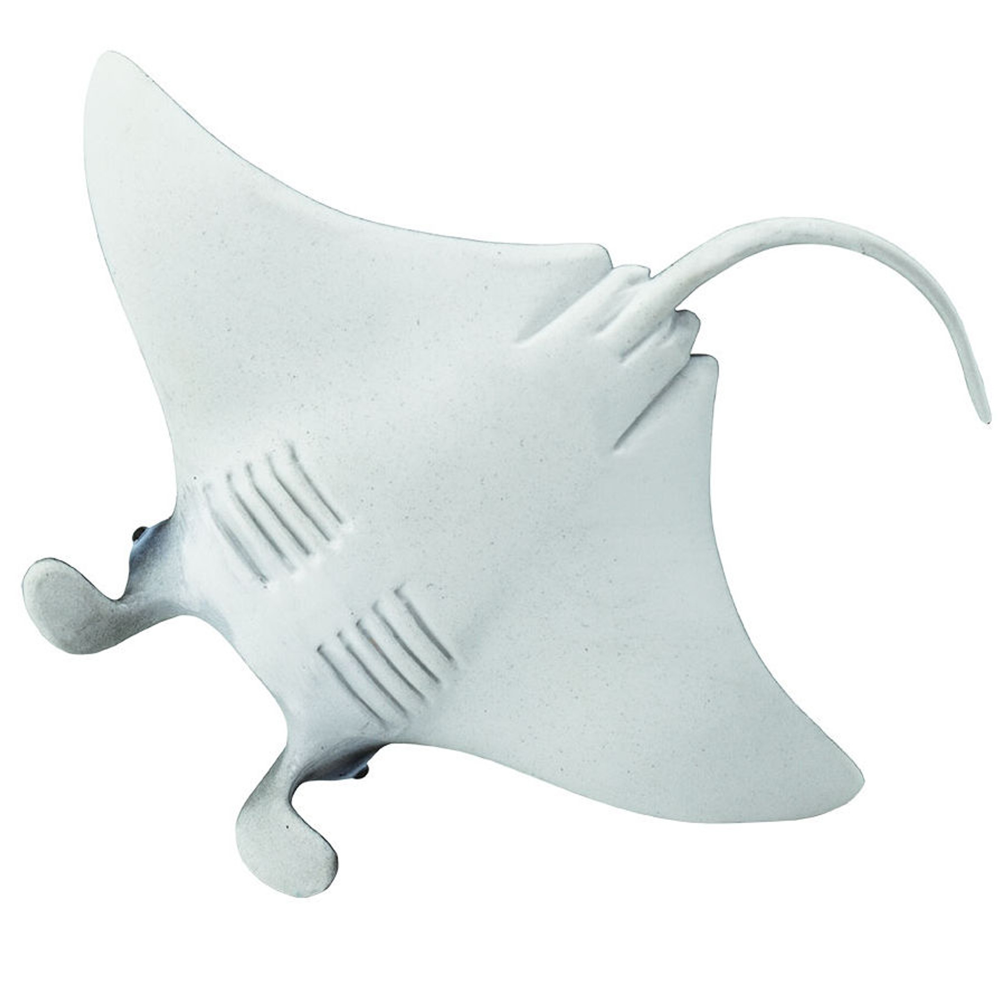 【中古】 Estratexa Manta Ray 8e2cd424-2941-41e3-bfce-