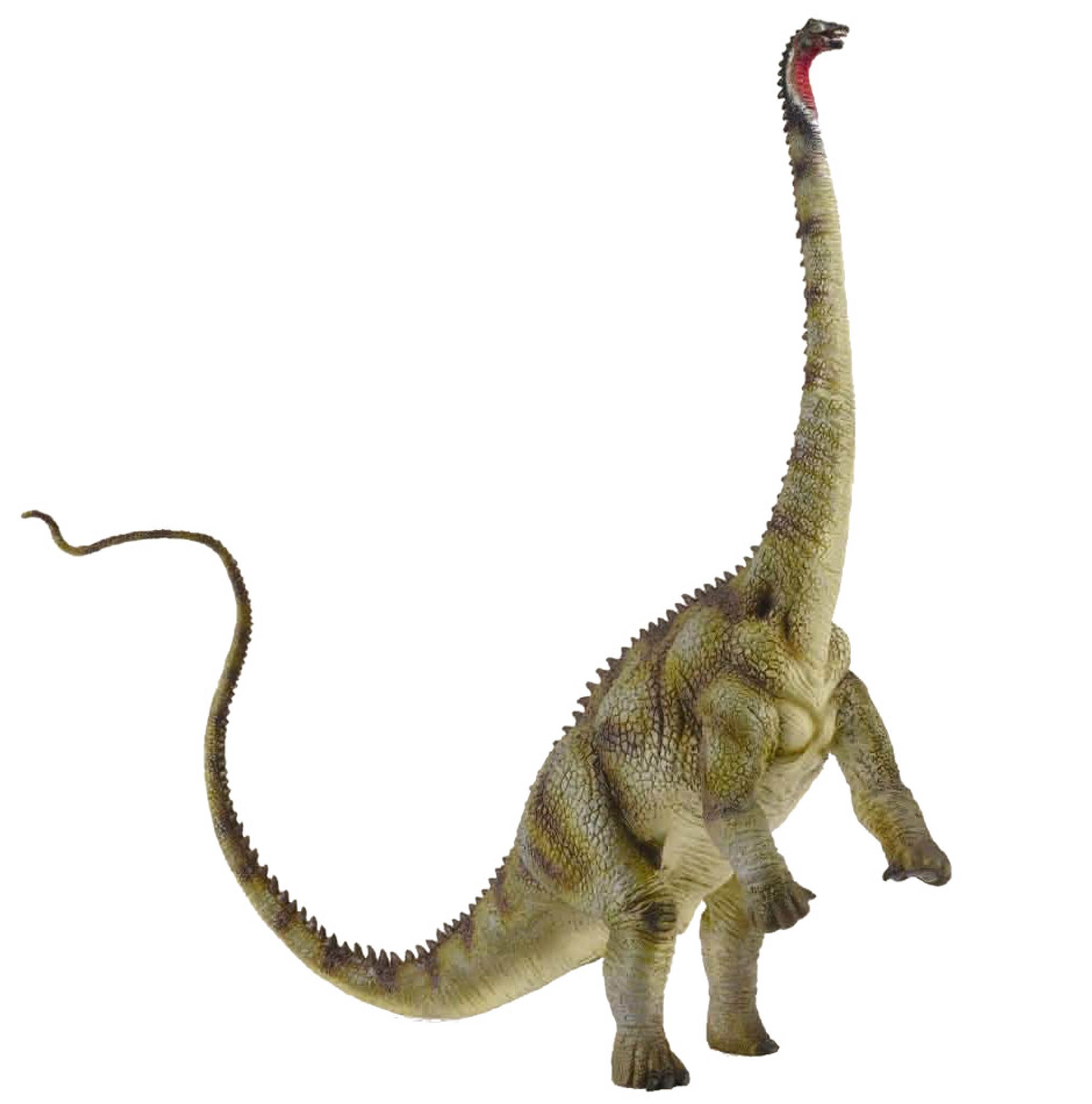 CollectA Diplodocus 88622 | Prehistoric 