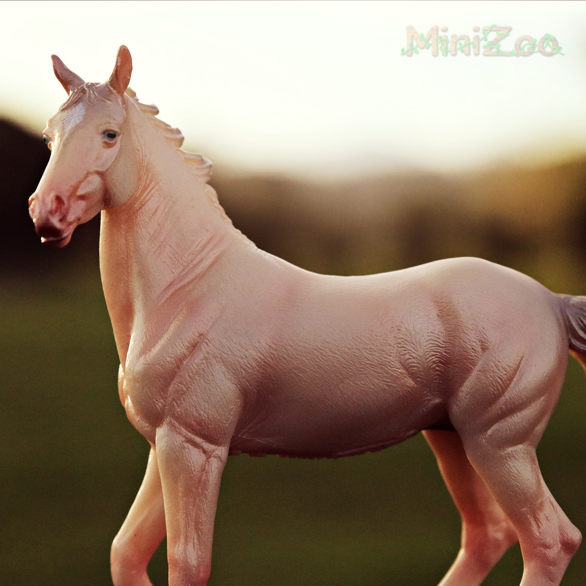 akhal teke schleich