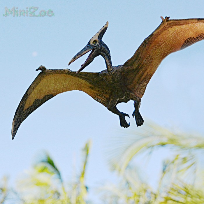 Papo Pteranodon 55006 Papo Prehistoric