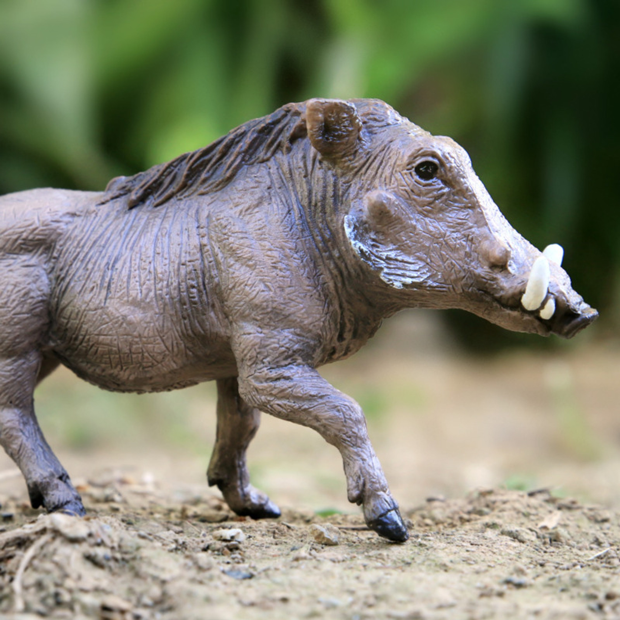 papo warthog