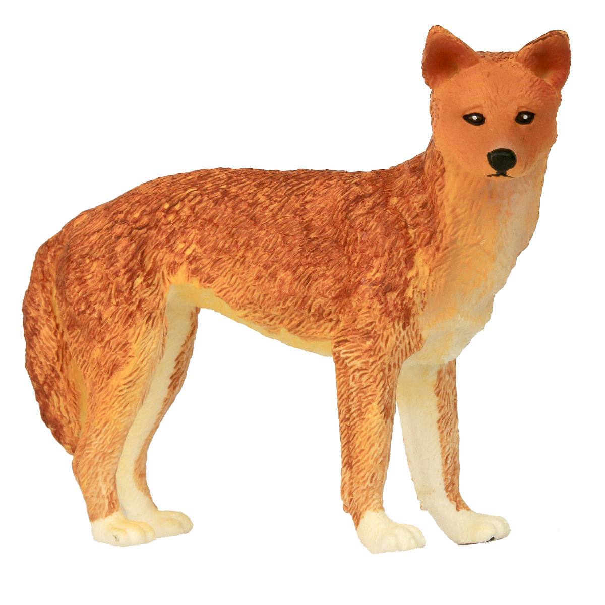 schleich dingo