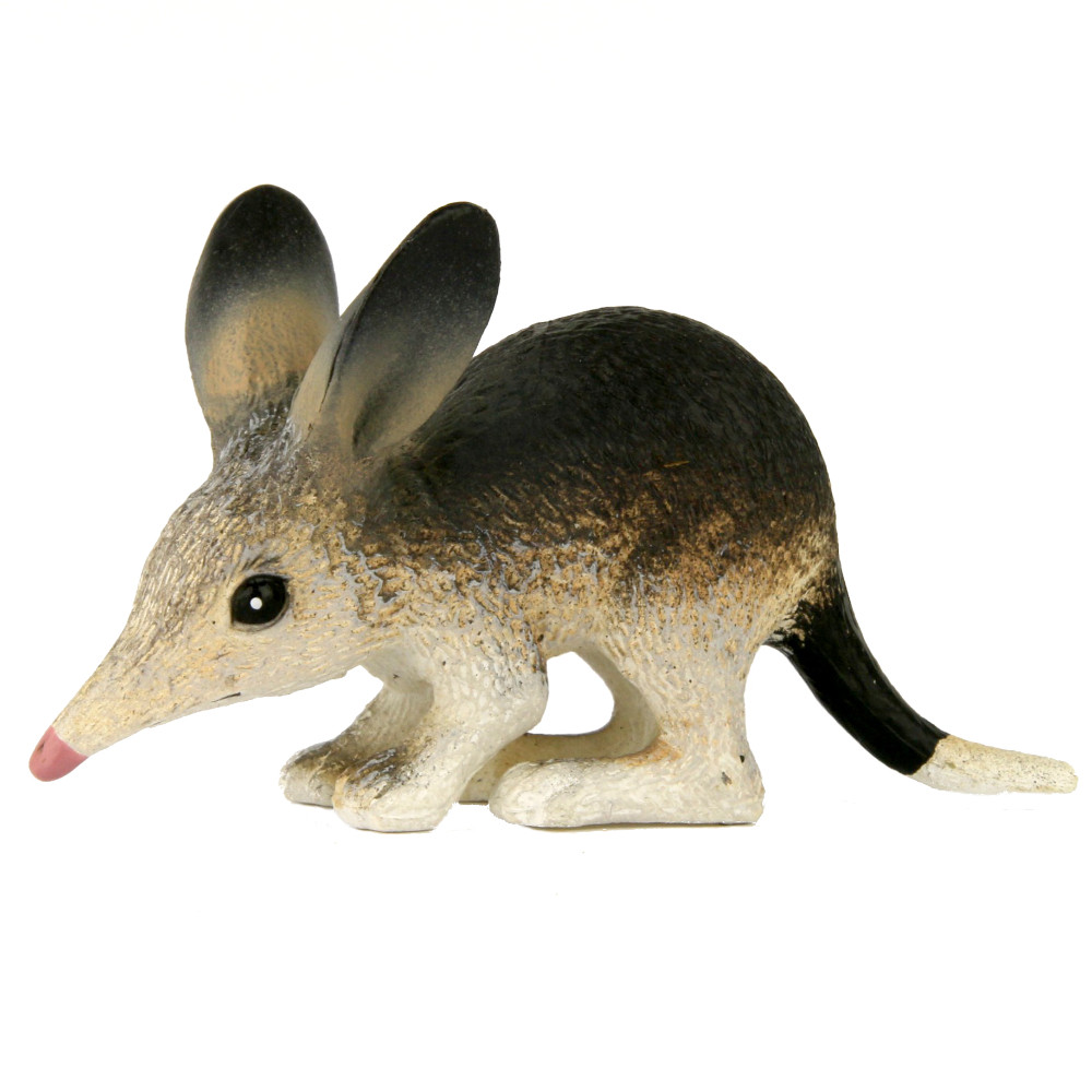Science and Nature Small Bilby - MiniZoo