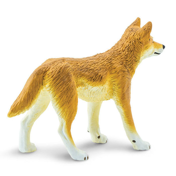 schleich dingo