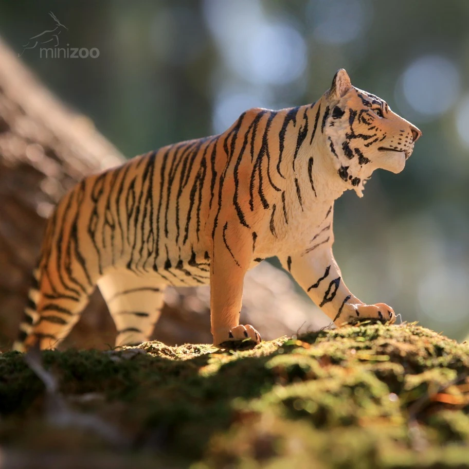 collecta-siberian-tiger-88789-wild-life