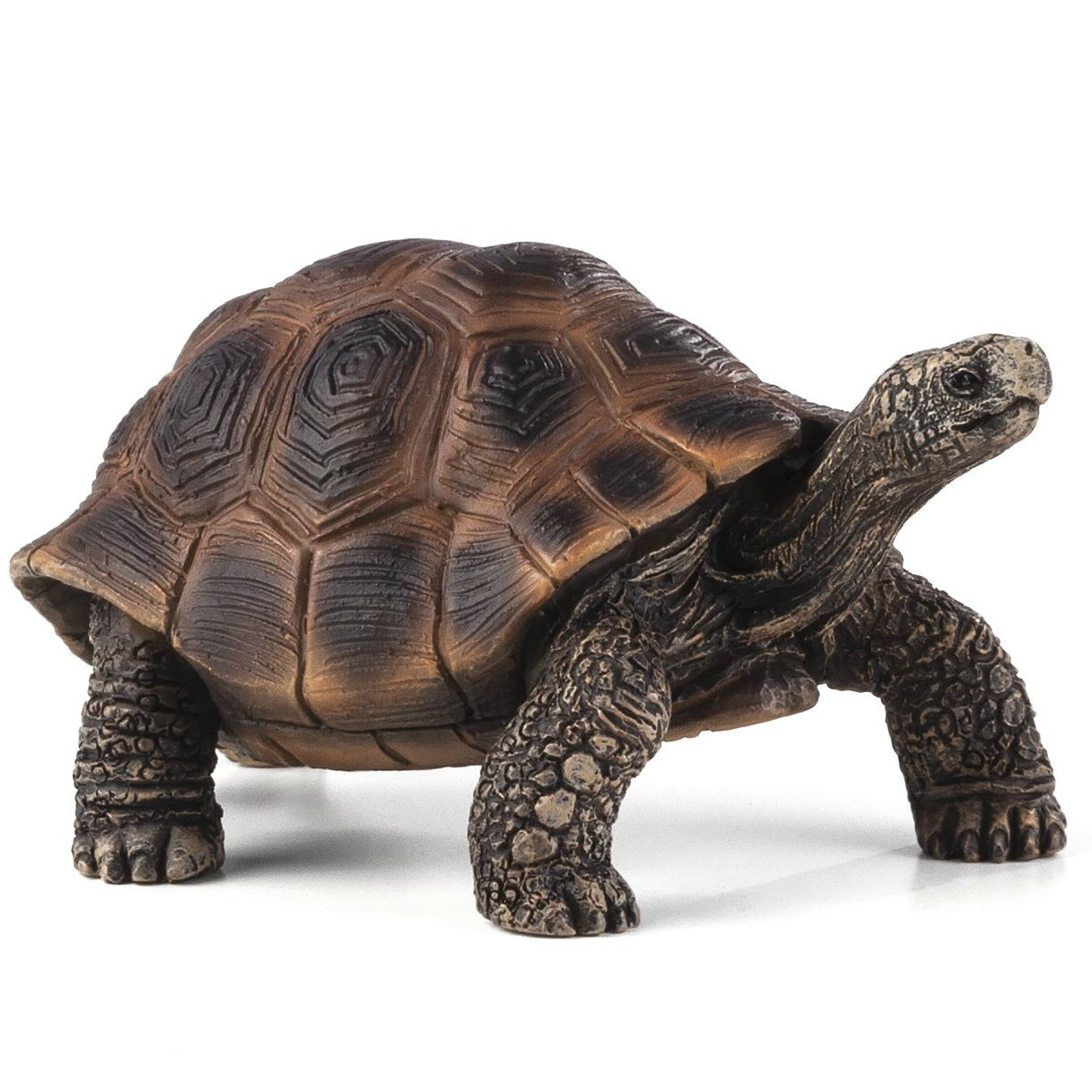 tortoise figure