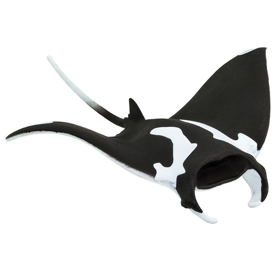 PAPO SEA MANTA RAY - Bird in Hand