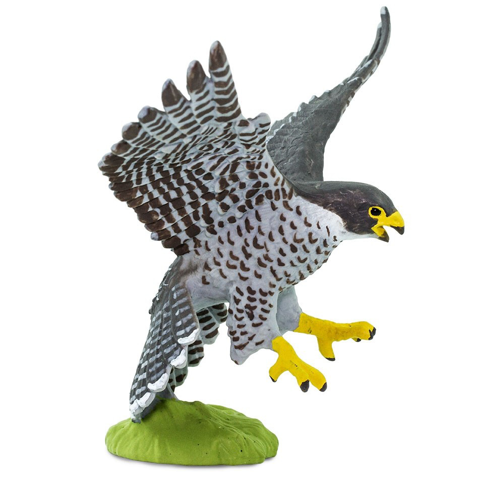 Safari Ltd Peregrine Falcon 100094 Safari Birds