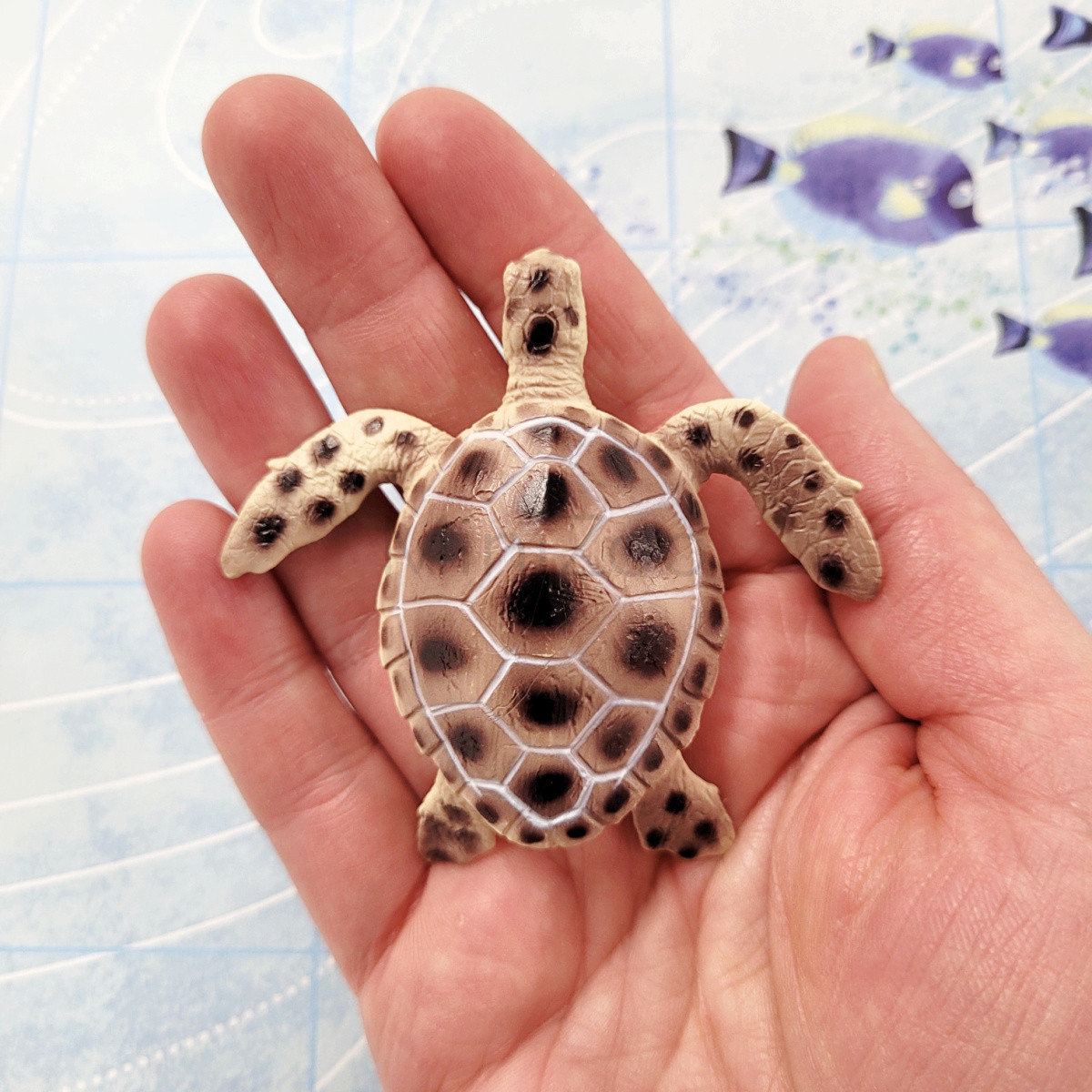 Tiny Hands Sculpting Hands Polymer Clay Small Green Turtle Science