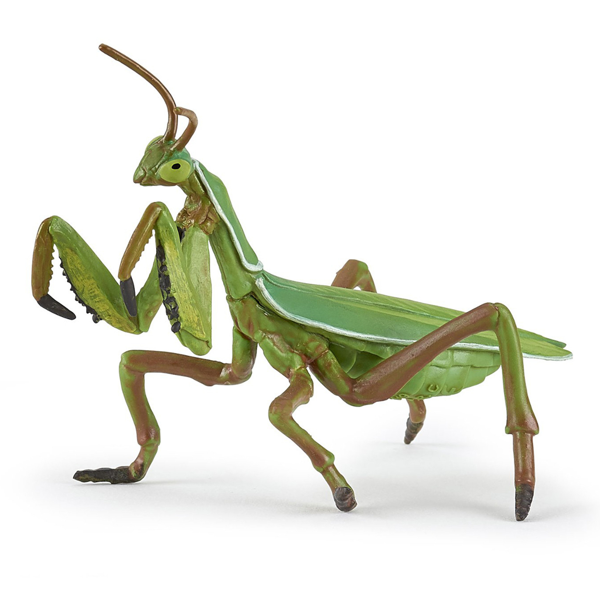 Praying hot sale mantis puppet