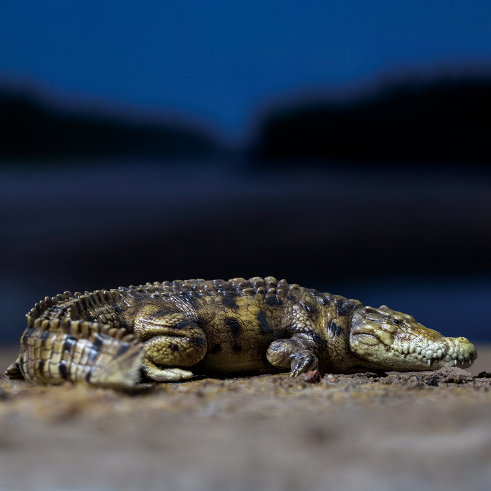 papo nile crocodile